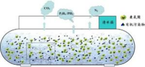 兼氧膜生物反應(yīng)器技術(shù)